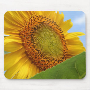 Tapis De Souris Tournesol ensoleillé