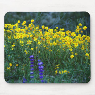 Tapis De Souris Tournesol et lavande