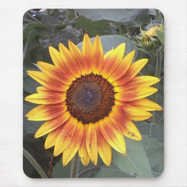 Tapis De Souris Tournesol Mousepad (Devant)