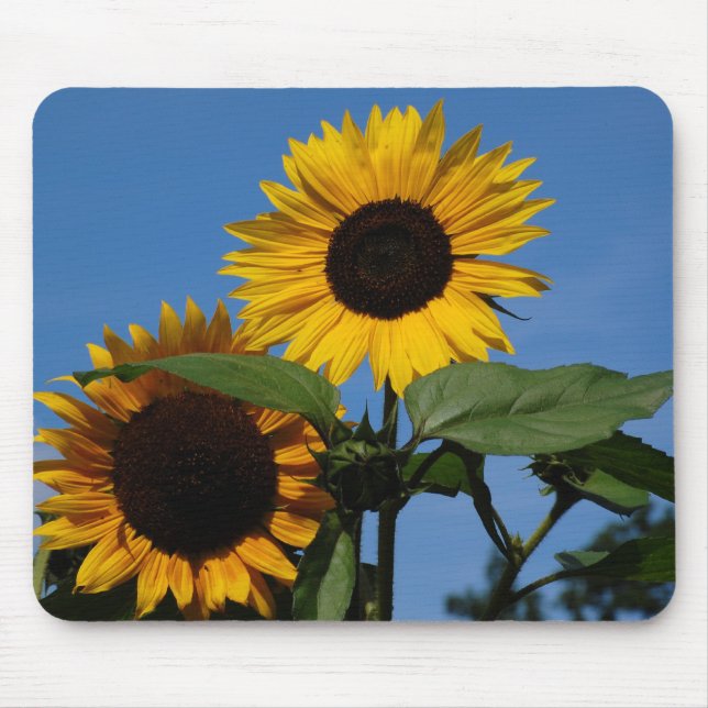 Tapis De Souris Tournesols (Devant)