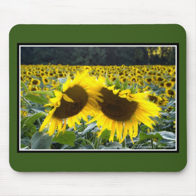 Tapis De Souris Tournesols ensemble Mousepad par Thomas Minutolo (Devant)