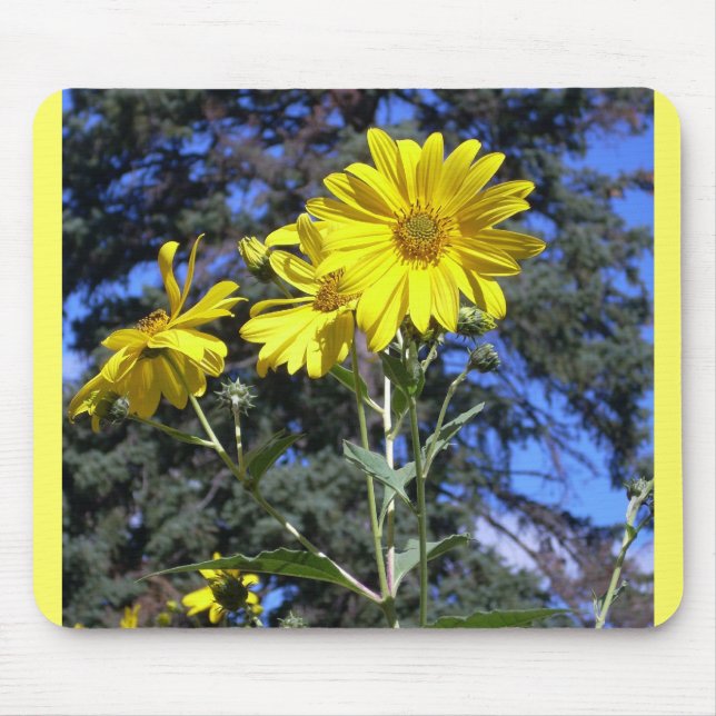Tapis De Souris Tournesols sur pin (Devant)