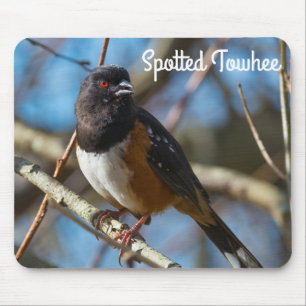 Tapis De Souris Towhee tachetée