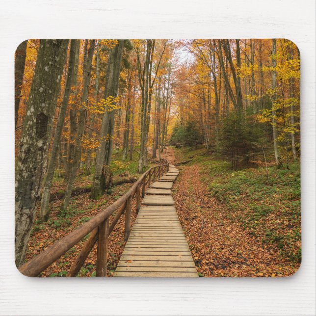 Tapis De Souris Traverser la forêt d'automne. (Devant)