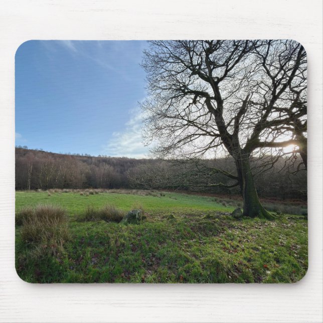 Tapis De Souris Tree view.. (Devant)