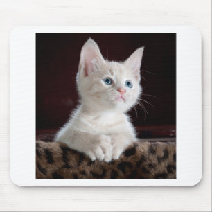 Tapis De Souris Très Mignon Chat Blanc
