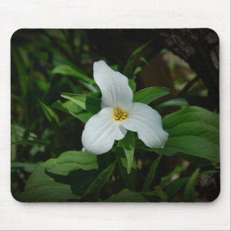 Tapis De Souris Trillium