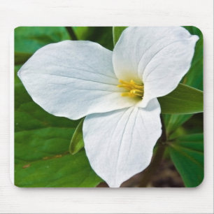 Tapis De Souris Trillium du printemps