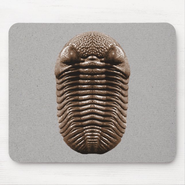 Tapis De Souris Trilobite Mousepad (Devant)