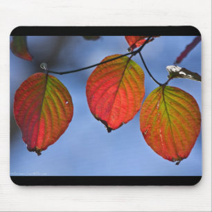 Tapis De Souris Trio de feuilles d'automne illuminées colorées
