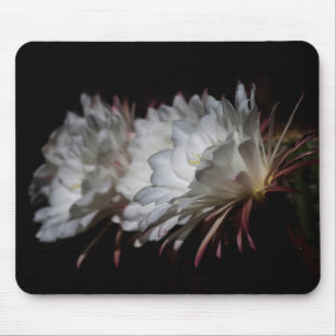 Tapis De Souris Trio de fleurs de cactus blancs