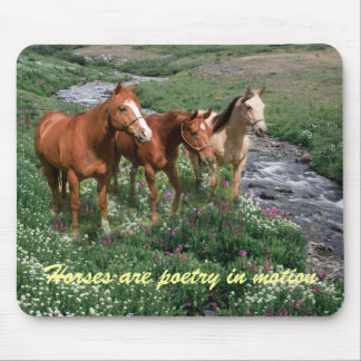 Tapis De Souris Trio Mousepad de cheval