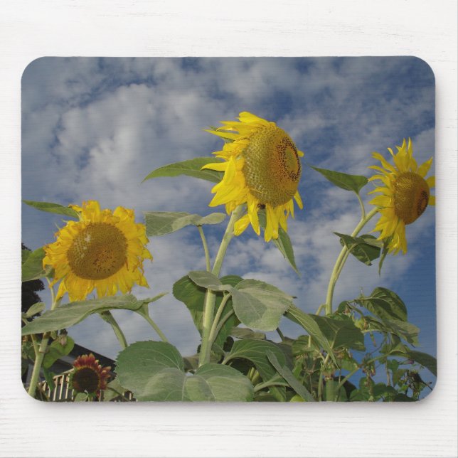 Tapis De Souris Trio tournesol (Devant)
