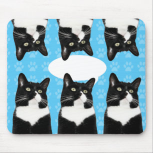 Tapis De Souris Triple Mignonne Chatte Chat Drôle Déclaration Épiq