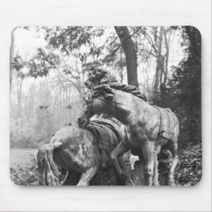 Tapis De Souris Tritons toilettant deux chevaux du soleil dedans