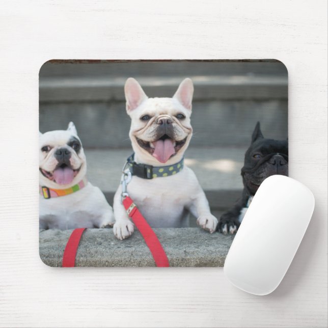 Tapis De Souris Trois Bulgares français (Avec souris)
