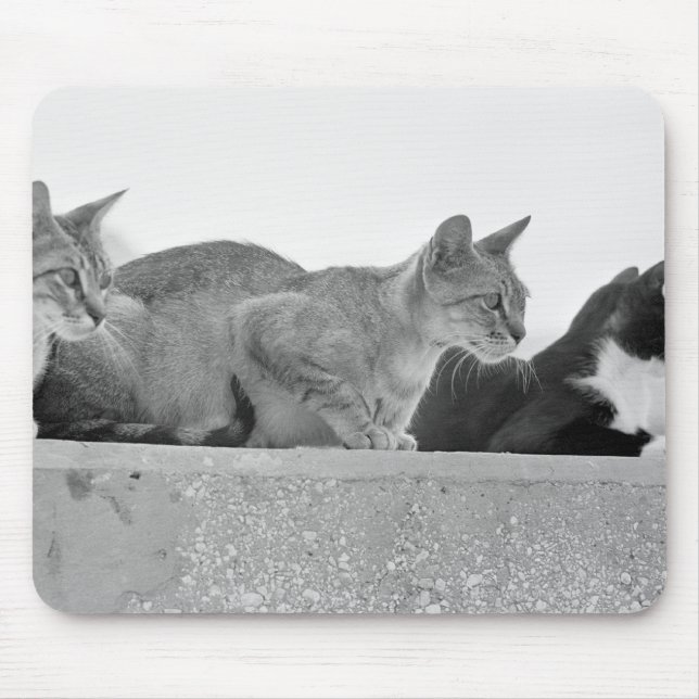 Tapis De Souris Trois chats (Devant)