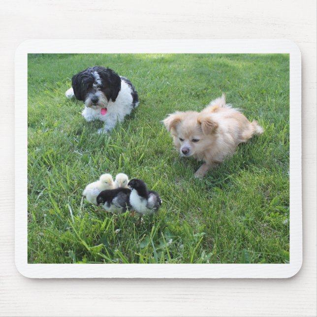 Tapis De Souris Trois chiens mignons dans l'herbe (Devant)