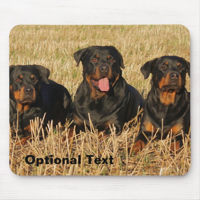 Tapis De Souris Trois chiens Rottweiler - Pack de Rotties (Devant)