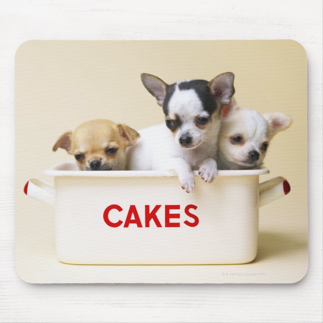 Tapis De Souris Trois chihuahua chippies en boîte à gâteau (Devant)