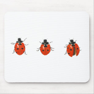 Tapis De Souris Trois coccinelles 2013