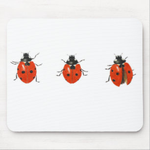 Tapis De Souris Trois coccinelles 2013