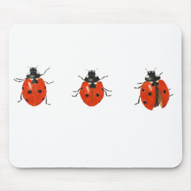 Tapis De Souris Trois coccinelles 2013 (Devant)