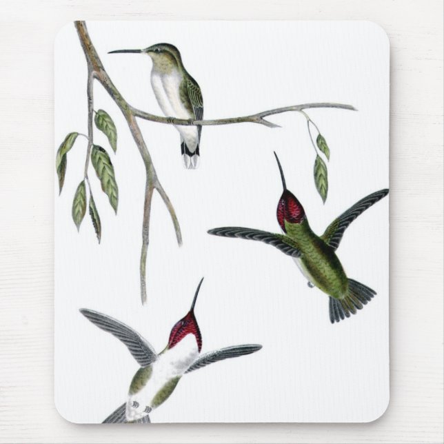 Tapis De Souris Trois colibris verts (Devant)