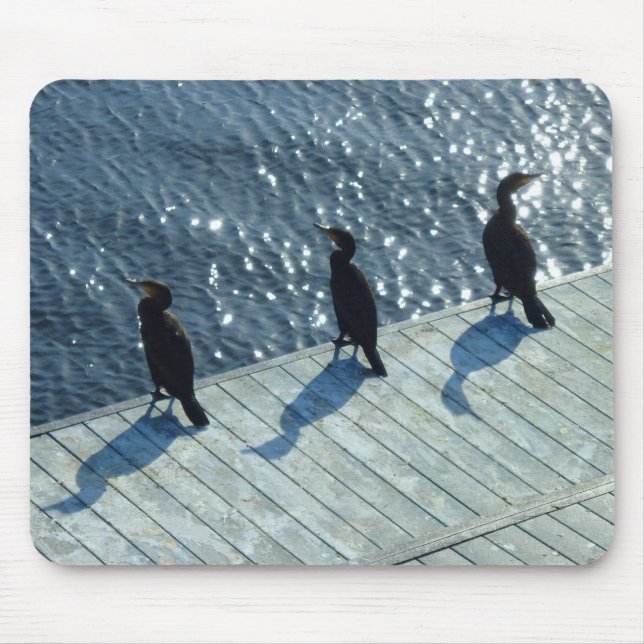 Tapis De Souris Trois Cormorans (Devant)