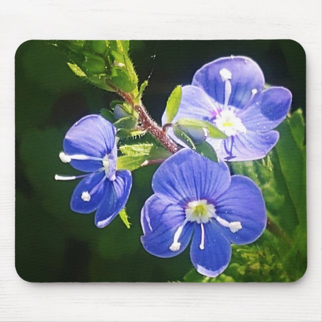 Tapis De Souris Trois fleurs bleues (Devant)