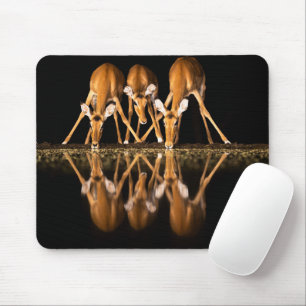 Tapis De Souris Trois impalas boivent ensemble la nuit