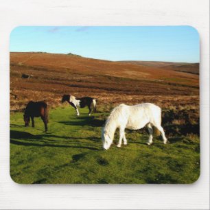 Tapis De Souris Trois poneys sur Dartmoor