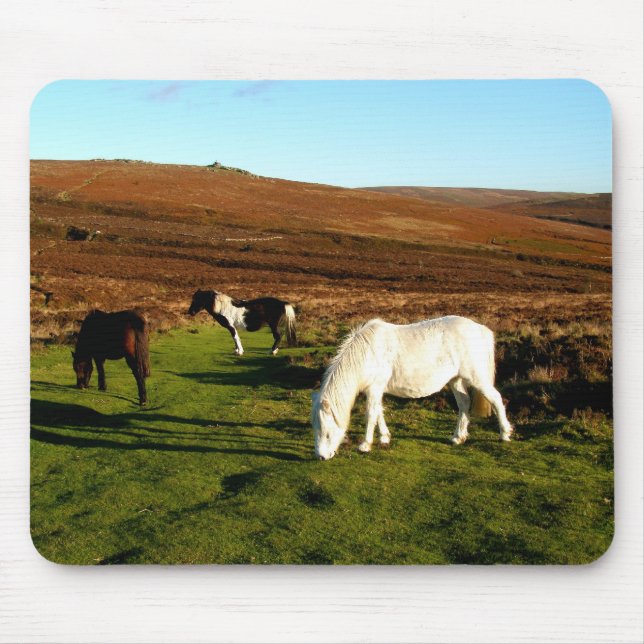 Tapis De Souris Trois poneys sur Dartmoor (Devant)
