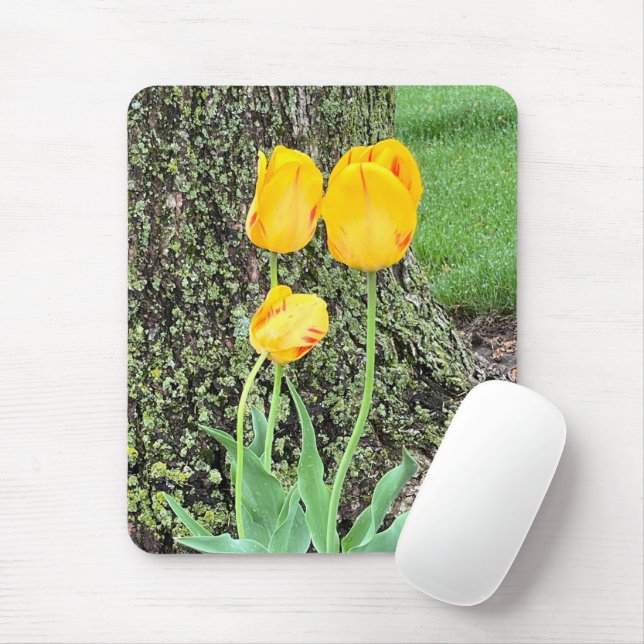 Tapis De Souris Trois Tulipes Jaunes / (Avec souris)