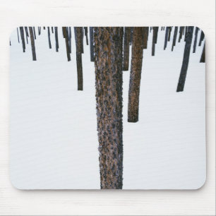 Tapis De Souris Troncs d'arbre dans la neige