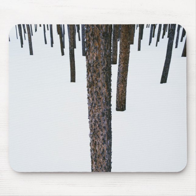 Tapis De Souris Troncs d'arbre dans la neige (Devant)