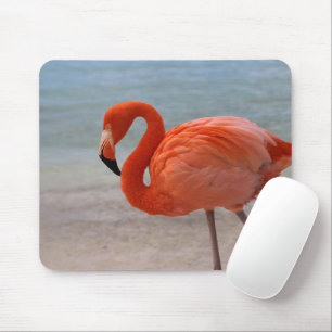 Tapis De Souris Tropical Beaches Caribbean Flamingo, Aruba