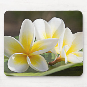 Tapis de souris tropical de fleurs