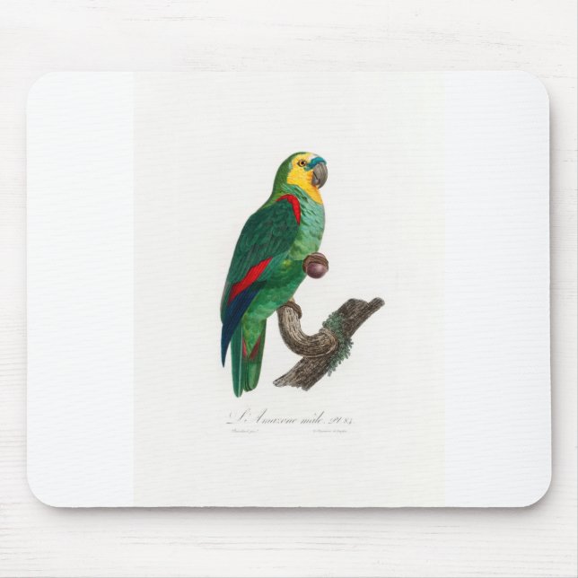 Tapis De Souris tropical macaw parrot (Devant)