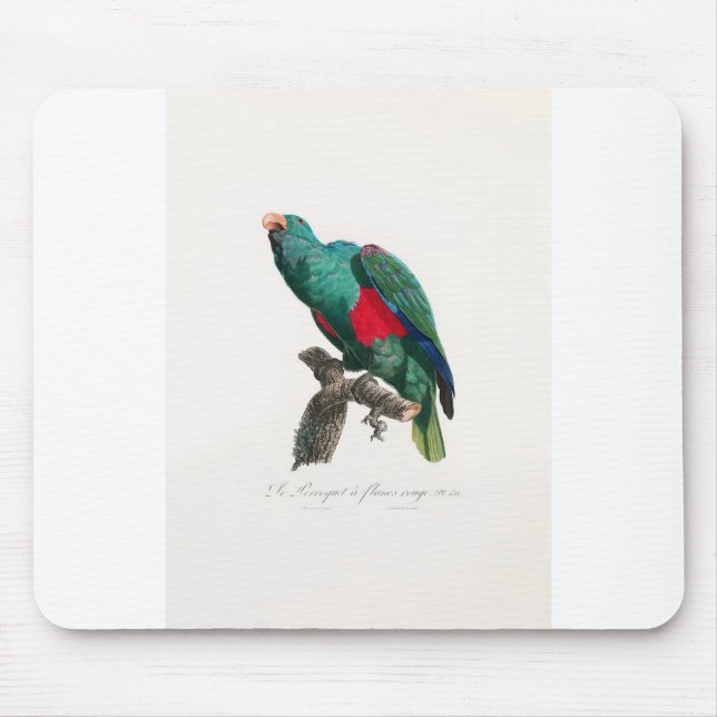 Tapis De Souris tropical macaw parrot (Devant)