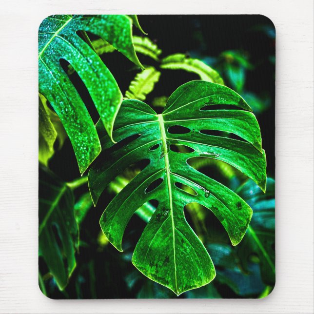 Tapis De Souris Tropical Monstera Glow – Jungle Leaf Photography (Devant)