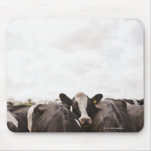 Tapis De Souris Troupeau de bétail et ciel couvert 2