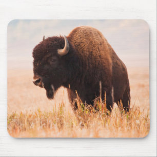 Tapis De Souris Troupeau de bisons d'Amérique (Bison Bison) dans T