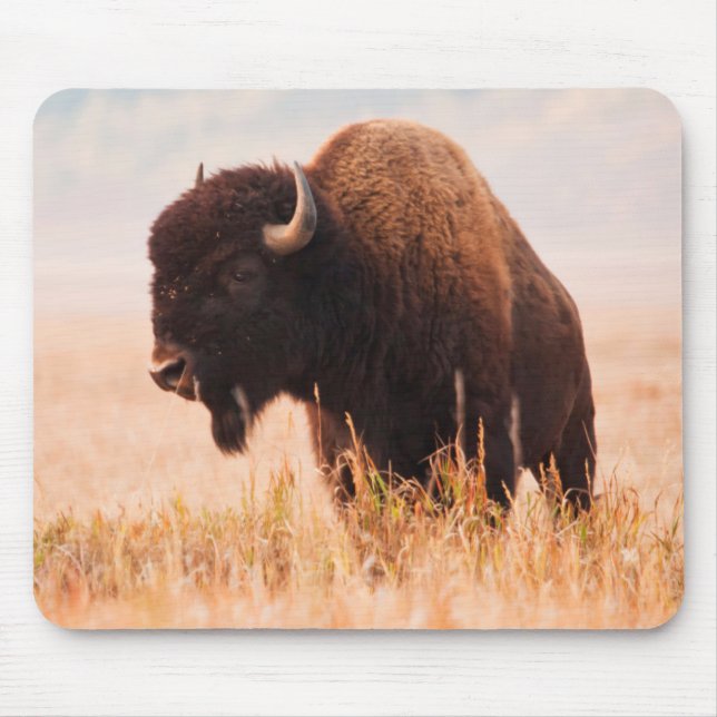 Tapis De Souris Troupeau de bisons d'Amérique (Bison Bison) dans T (Devant)