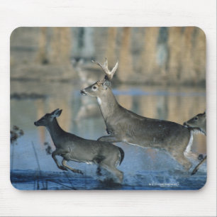 Tapis De Souris Troupeau de cerf de Virginie fonctionnant par