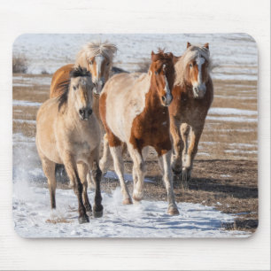 Tapis De Souris Troupeau de chevaux de race mixte courant dans la