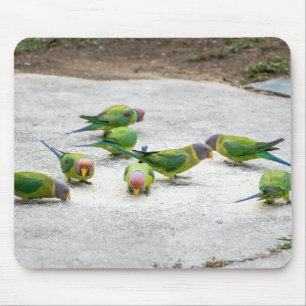 Tapis De Souris troupeau d'oiseaux, troupeau de perroquets, oiseau