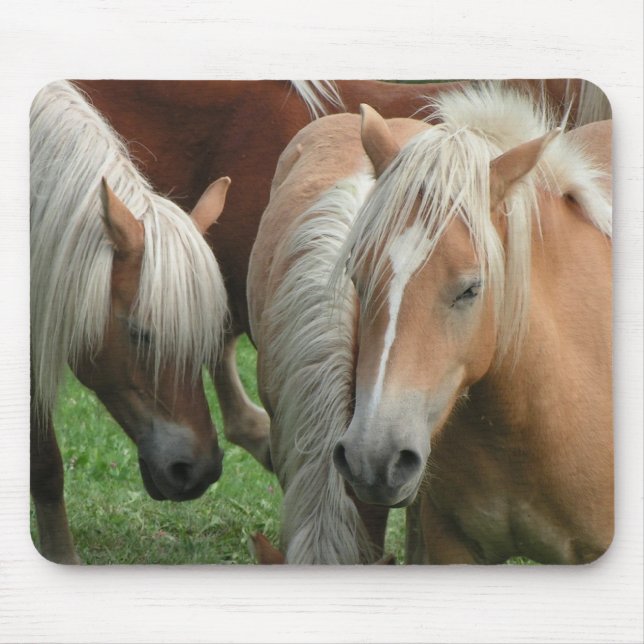Tapis De Souris Troupeau Mousepad de palomino (Devant)