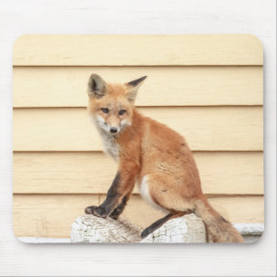 Tapis De Souris Trousse Red Fox dans la vallée de l'Hudson