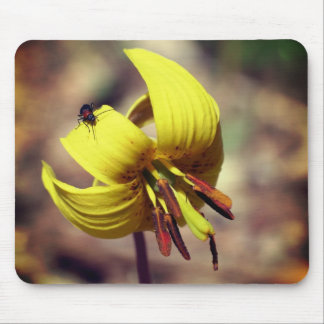 Tapis De Souris Truite Sauvage Lily Et Fleur Ami